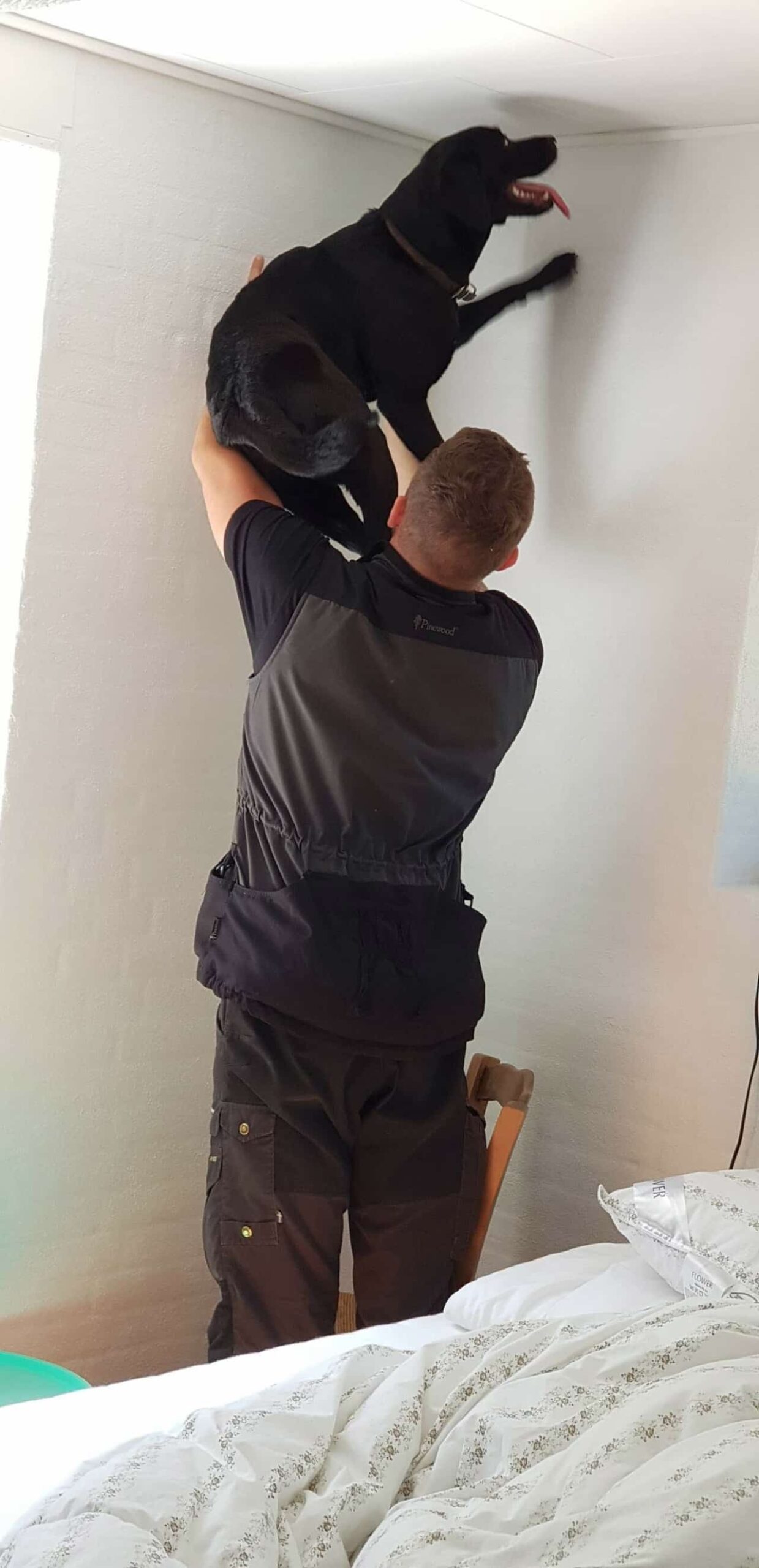 Sådan tester du dit hjem for skimmelsvamp: En trin-for-trin guide