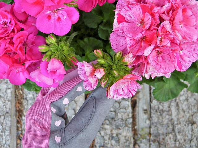 Kapilærkasser til altanen: Sådan får du flotte blomsterkasser uden risiko for udtørring