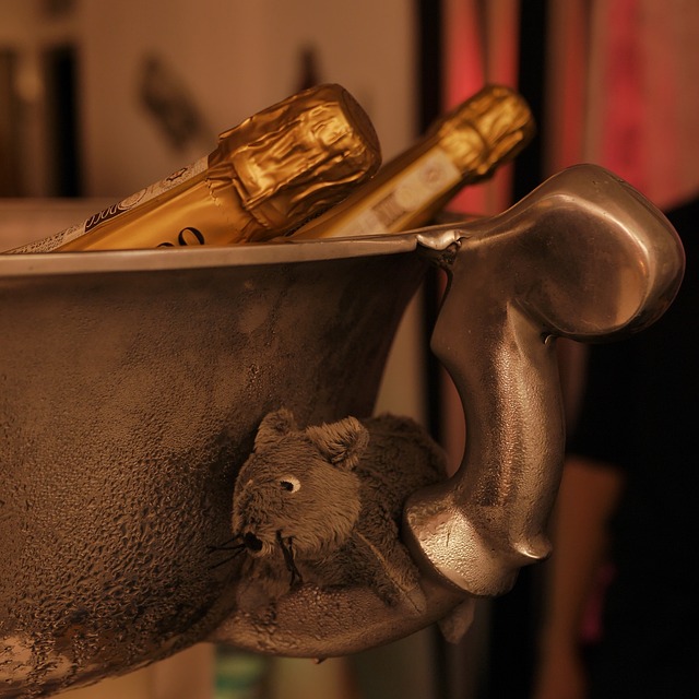 Champagnekølere til enhver fest: Hvordan man finder den perfekte størrelse