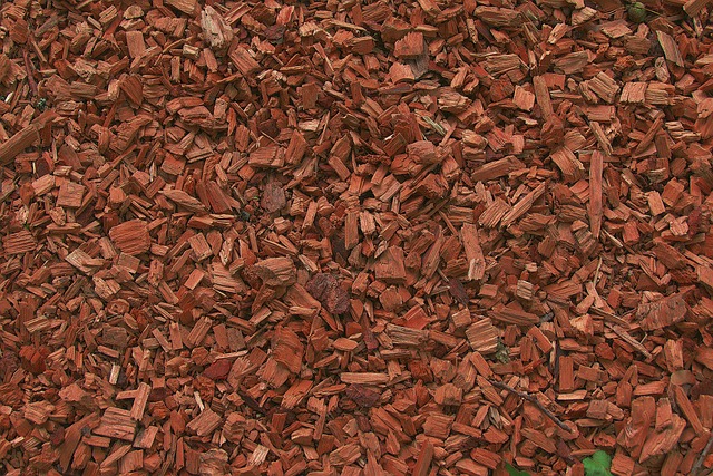Træfliser: Den bæredygtige og naturlige løsning til dit gulv